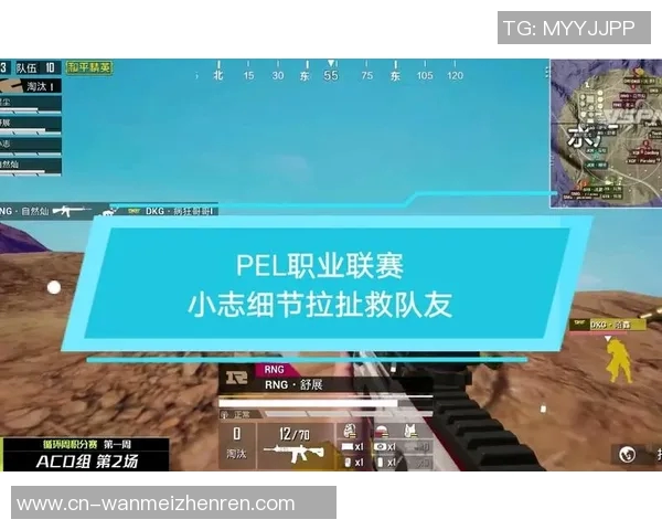 2026年3月份新闻和平精英巨献深入解析RNG战队的技术实力与战术创新之道